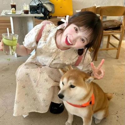 火童封面